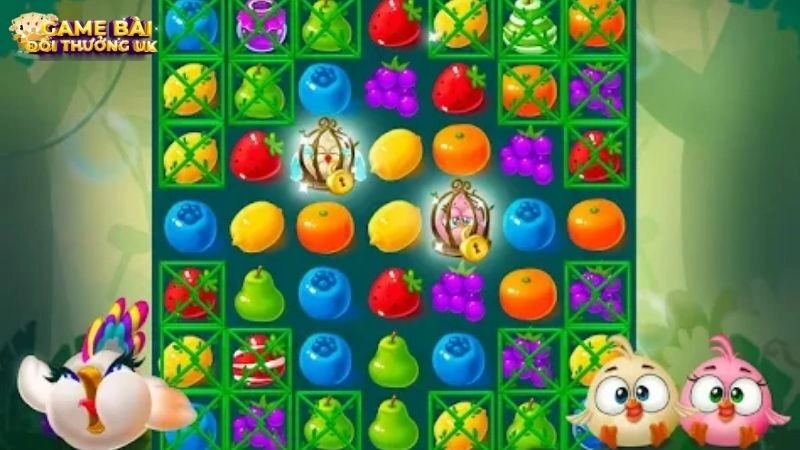 Candy Fruit